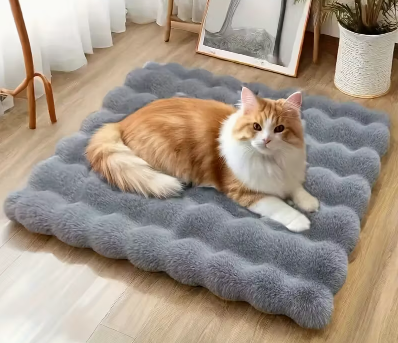 CloudPaw™ —🐾 Comodidad que se nota. Descanso que se siente.