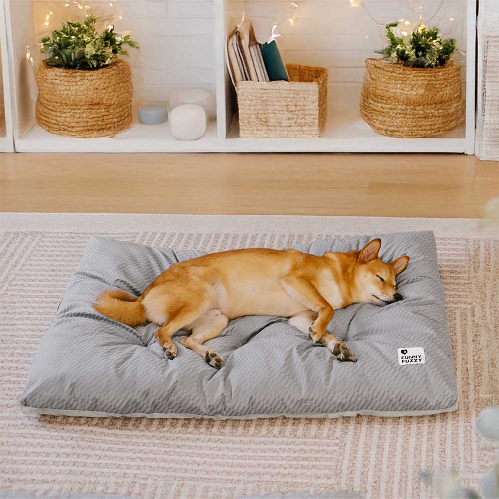 CloudPets®️
