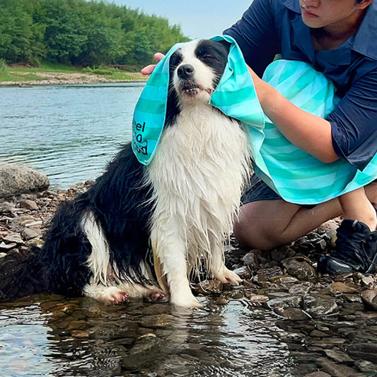 Set x2 Dog Towel®️ - Personalízala con el Nombre de tu Mascota