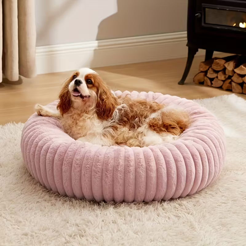 SoftPaws™ | Cama Acolchada Premium