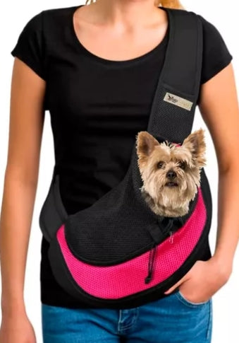 Pet sitter