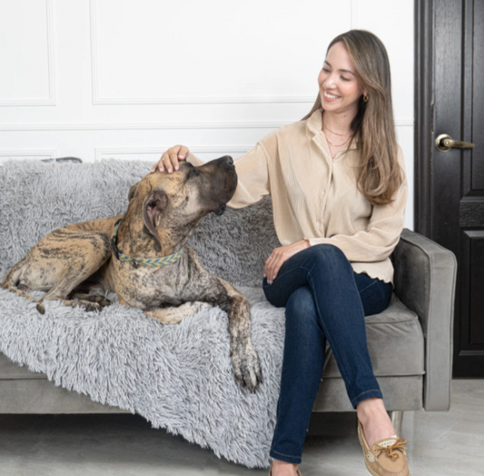 DoggyDry –Calor, suavidad y cero humedad para tu mascota.
