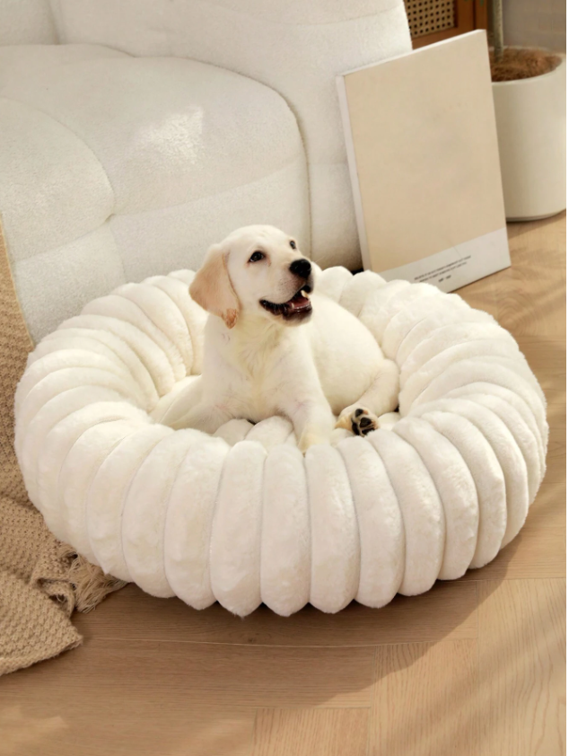 SoftPaws™ | Cama Acolchada Premium