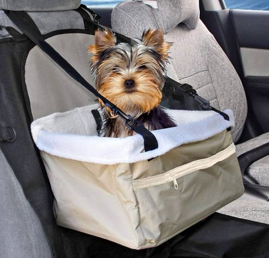 pet car breed