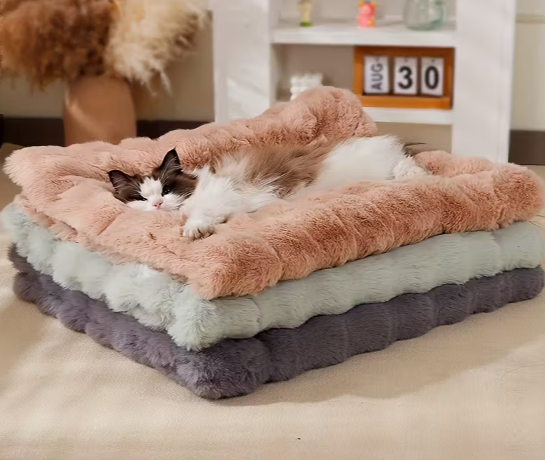 CloudPaw™ —🐾 Comodidad que se nota. Descanso que se siente.