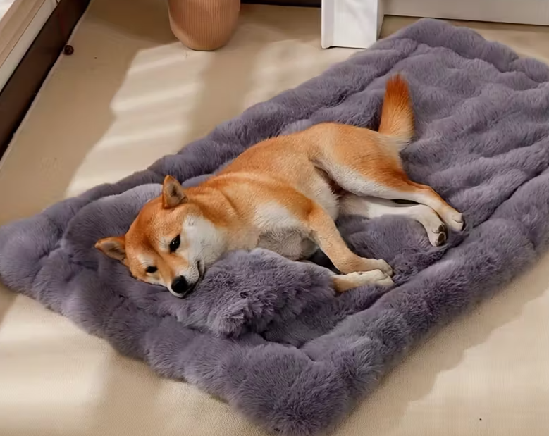 CloudPaw™ —🐾 Comodidad que se nota. Descanso que se siente.